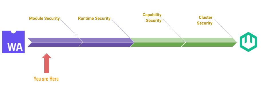 module security